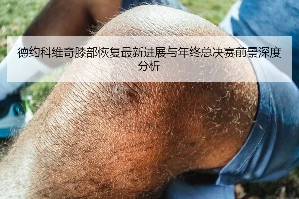 德约科维奇膝部恢复最新进展与年终总决赛前景深度分析